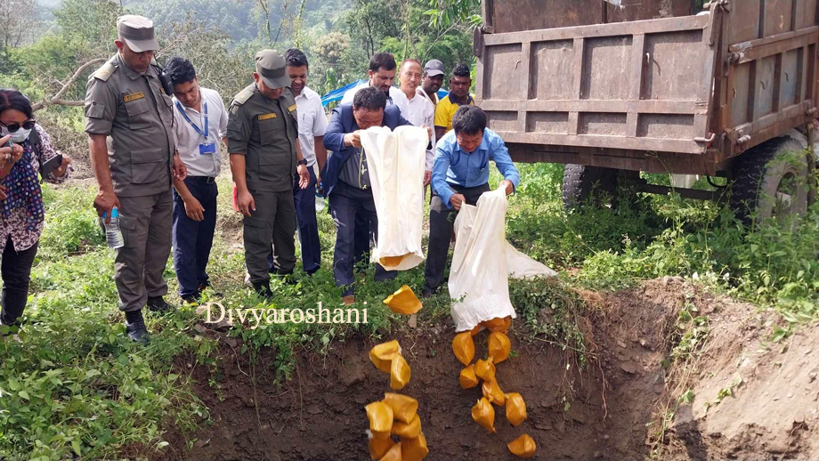 अखाद्य बस्तु मिसावट गरिएको बेसार नष्ट गरियो(भिडियो सहित)