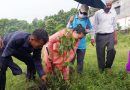 पत्रकार स्व.लम्जेल संघर्षशिलको जन्मदिनमा वृक्षारोपण र श्रद्धाञ्जलीसभा