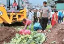 धरानमा विषादियुक्त फुलकोपी नष्ट गरियो